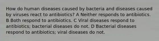 How do human diseases caused by bacteria and diseases caused by viruses react to antibiotics? A Neither responds to antibiotics. B Both respond to antibiotics. C Viral diseases respond to antibiotics; bacterial diseases do not. D Bacterial diseases respond to antibiotics; viral diseases do not.