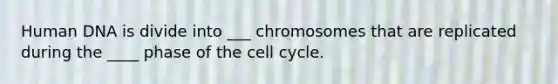 Human DNA is divide into ___ chromosomes that are replicated during the ____ phase of the cell cycle.