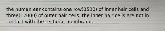 the human ear contains one row(3500) of inner hair cells and three(12000) of outer hair cells. the inner hair cells are not in contact with the tectorial membrane.