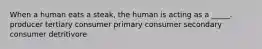 When a human eats a steak, the human is acting as a _____. producer tertiary consumer primary consumer secondary consumer detritivore