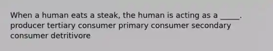 When a human eats a steak, the human is acting as a _____. producer tertiary consumer primary consumer secondary consumer detritivore