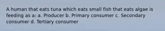 A human that eats tuna which eats small fish that eats algae is feeding as a: a. Producer b. Primary consumer c. Secondary consumer d. Tertiary consumer