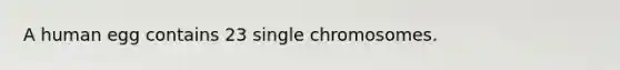 A human egg contains 23 single chromosomes.