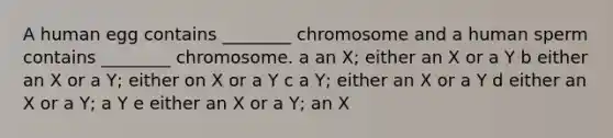 A human egg contains ________ chromosome and a human sperm contains ________ chromosome. a an X; either an X or a Y b either an X or a Y; either on X or a Y c a Y; either an X or a Y d either an X or a Y; a Y e either an X or a Y; an X