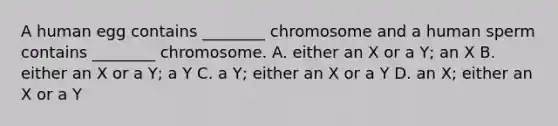 A human egg contains ________ chromosome and a human sperm contains ________ chromosome. A. either an X or a Y; an X B. either an X or a Y; a Y C. a Y; either an X or a Y D. an X; either an X or a Y