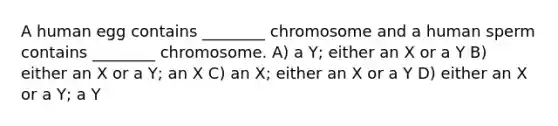 A human egg contains ________ chromosome and a human sperm contains ________ chromosome. A) a Y; either an X or a Y B) either an X or a Y; an X C) an X; either an X or a Y D) either an X or a Y; a Y