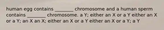 human egg contains ________ chromosome and a human sperm contains ________ chromosome. a Y; either an X or a Y either an X or a Y; an X an X; either an X or a Y either an X or a Y; a Y