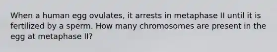 When a human egg ovulates, it arrests in metaphase II until it is fertilized by a sperm. How many chromosomes are present in the egg at metaphase II?