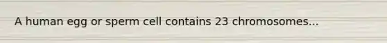 A human egg or sperm cell contains 23 chromosomes...