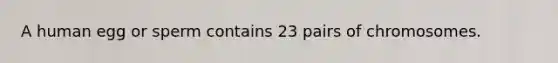 A human egg or sperm contains 23 pairs of chromosomes.