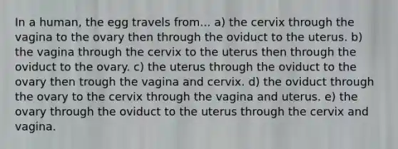 In a human, the egg travels from... a) the cervix through the vagina to the ovary then through the oviduct to the uterus. b) the vagina through the cervix to the uterus then through the oviduct to the ovary. c) the uterus through the oviduct to the ovary then trough the vagina and cervix. d) the oviduct through the ovary to the cervix through the vagina and uterus. e) the ovary through the oviduct to the uterus through the cervix and vagina.