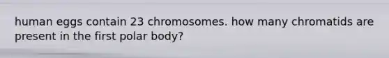 human eggs contain 23 chromosomes. how many chromatids are present in the first polar body?