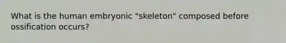 What is the human embryonic "skeleton" composed before ossification occurs?