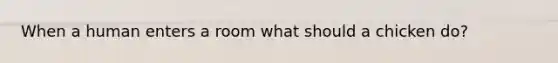 When a human enters a room what should a chicken do?
