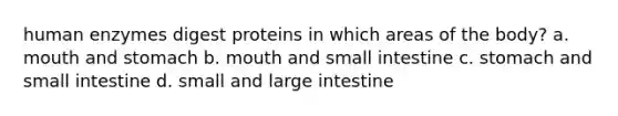 human enzymes digest proteins in which areas of the body? a. mouth and stomach b. mouth and small intestine c. stomach and small intestine d. small and large intestine