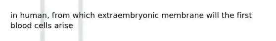 in human, from which extraembryonic membrane will the first blood cells arise