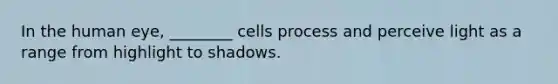 In the human eye, ________ cells process and perceive light as a range from highlight to shadows.