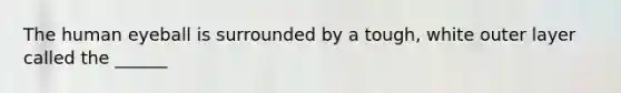 The human eyeball is surrounded by a tough, white outer layer called the ______