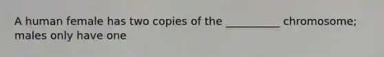 A human female has two copies of the __________ chromosome; males only have one