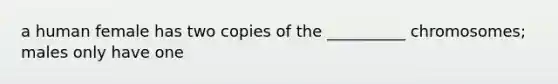 a human female has two copies of the __________ chromosomes; males only have one