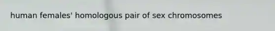 human females' homologous pair of sex chromosomes