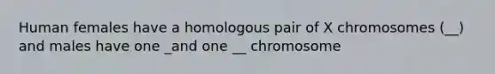 Human females have a homologous pair of X chromosomes (__) and males have one _and one __ chromosome