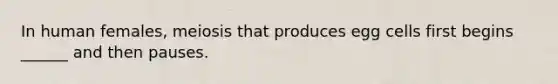 In human females, meiosis that produces egg cells first begins ______ and then pauses.