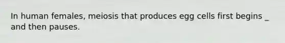 In human females, meiosis that produces egg cells first begins _ and then pauses.