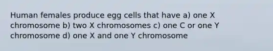 Human females produce egg cells that have a) one X chromosome b) two X chromosomes c) one C or one Y chromosome d) one X and one Y chromosome