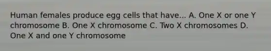 Human females produce egg cells that have... A. One X or one Y chromosome B. One X chromosome C. Two X chromosomes D. One X and one Y chromosome