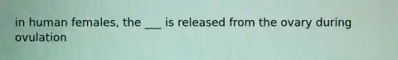 in human females, the ___ is released from the ovary during ovulation