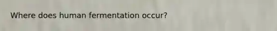 Where does human fermentation occur?
