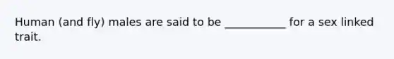 Human (and fly) males are said to be ___________ for a sex linked trait.