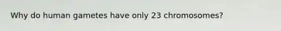 Why do human gametes have only 23 chromosomes?