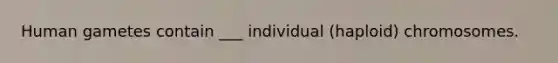 Human gametes contain ___ individual (haploid) chromosomes.