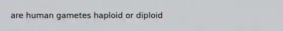 are human gametes haploid or diploid