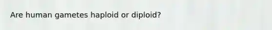 Are human gametes haploid or diploid?