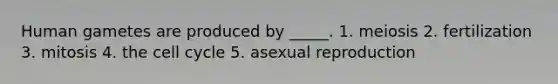 Human gametes are produced by _____. 1. meiosis 2. fertilization 3. mitosis 4. the <a href='https://www.questionai.com/knowledge/keQNMM7c75-cell-cycle' class='anchor-knowledge'>cell cycle</a> 5. asexual reproduction