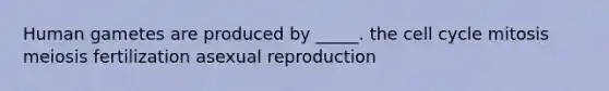 Human gametes are produced by _____. the cell cycle mitosis meiosis fertilization asexual reproduction