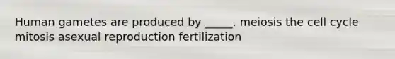 Human gametes are produced by _____. meiosis the cell cycle mitosis asexual reproduction fertilization