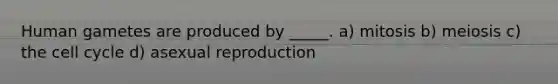 Human gametes are produced by _____. a) mitosis b) meiosis c) the cell cycle d) asexual reproduction