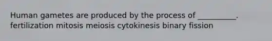 Human gametes are produced by the process of __________. fertilization mitosis meiosis cytokinesis binary fission