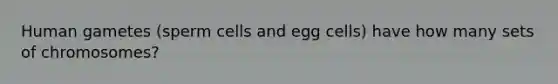 Human gametes (sperm cells and egg cells) have how many sets of chromosomes?