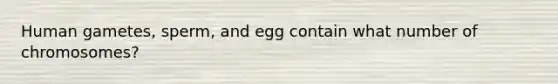 Human gametes, sperm, and egg contain what number of chromosomes?