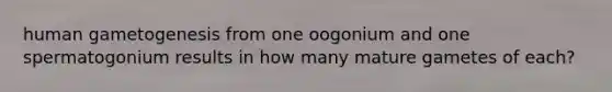 human gametogenesis from one oogonium and one spermatogonium results in how many mature gametes of each?