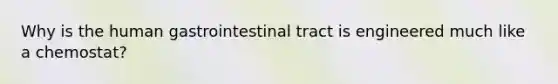 Why is the human gastrointestinal tract is engineered much like a chemostat?