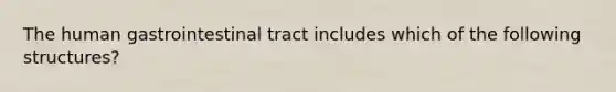 The human gastrointestinal tract includes which of the following structures?