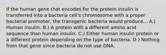 If the human gene that encodes for the protein insulin is transferred into a bacteria cell's chromosome with a proper bacterial promoter, the transgenic bacteria would produce... A.) Human insulin. B.) A protein with a different amino acid sequence than human insulin. C.) Either human insulin protein or a different protein depending on the type of bacteria. D.) Nothing from that gene since bacteria do not use DNA.