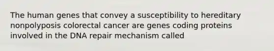 The human genes that convey a susceptibility to hereditary nonpolyposis colorectal cancer are genes coding proteins involved in the <a href='https://www.questionai.com/knowledge/kdWJhII4NB-dna-repair' class='anchor-knowledge'>dna repair</a> mechanism called