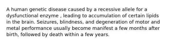 A human genetic disease caused by a recessive allele for a dysfunctional enzyme , leading to accumulation of certain lipids in the brain. Seizures, blindness, and degeneration of motor and metal performance usually become manifest a few months after birth, followed by death within a few years.